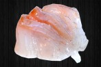Sashimi Tai (daurade) 12p